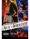 Amy Winehouse - I Told You I Was Trouble