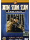 Rin Tin Tin 02