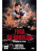 Fuga Da Absolom