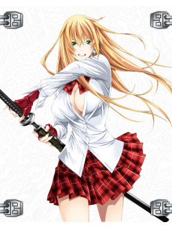 Shiozaki Yuji - Ikkitousen Western Wolves [Edizione: Giappone]