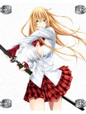 Shiozaki Yuji - Ikkitousen Western Wolves [Edizione: Giappone]