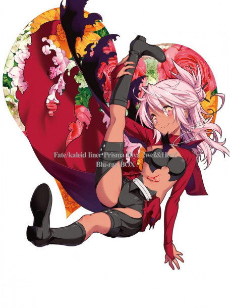 Hiroyama Hiroshi - Fate/Kaleid Liner Prisma Illya 2Wei & Herz! Blu-Ray Box (4 Blu-Ray) [Edizione: Giappone]