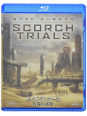 Dylan O'Brien - Maze Runner: The Scorch Trials [Edizione: Giappone]