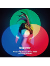 Superfly - Arena Tour 2016 Into The Circle! [Edizione: Giappone]