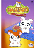 Hamtaro 06