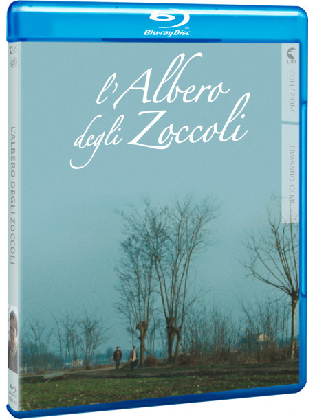 Albero Degli Zoccoli (L')