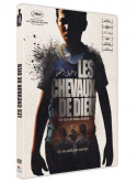 Les Chevaux De Dieu [Edizione: Francia]