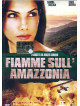 Fiamme Sull'Amazzonia