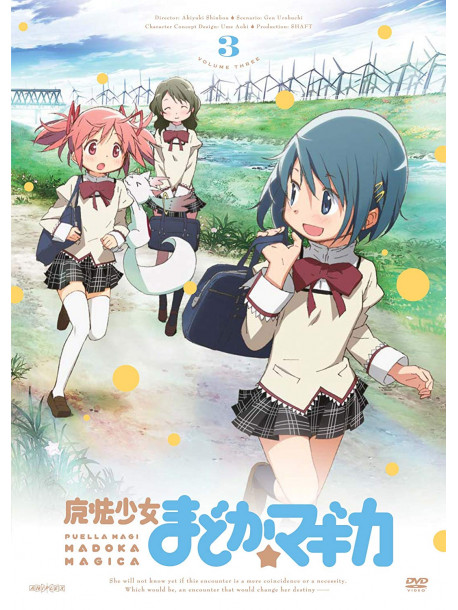 Animation - Puella Magi Madoka Magica 3 [Edizione: Giappone]