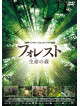 (Documentary) - Once Upon A Forest [Edizione: Giappone]