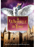 Wrinkle In Time [Edizione: Stati Uniti]