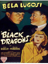 Black Dragons Dvd [Edizione: Regno Unito]