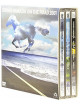 Hamada, Shogo - On The Road (3 Dvd) [Edizione: Giappone]