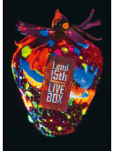 Lead - Lead 15Th Anniversary Live Box (2 Blu-Ray) [Edizione: Giappone]