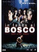 In Fondo Al Bosco
