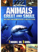 Animals Great & [Edizione: Stati Uniti]