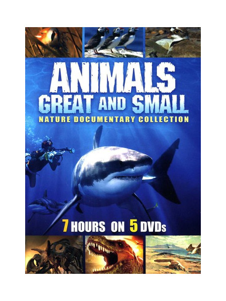 Animals Great & [Edizione: Stati Uniti]