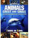Animals Great & [Edizione: Stati Uniti]