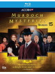 Murdoch Mysteries: Season 15 (6 Blu-Ray) [Edizione: Stati Uniti]