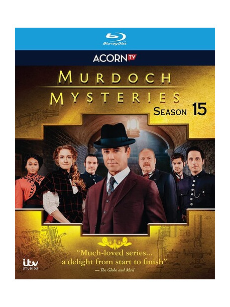 Murdoch Mysteries: Season 15 (6 Blu-Ray) [Edizione: Stati Uniti]