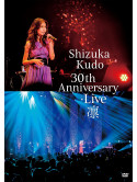 Kudo Shizuka - Shizuka Kudo 30Th Anniversary Live Rin (2 Dvd) [Edizione: Giappone]