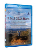 Sale Della Terra (Il)