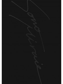 Sid - Sid 15Th Anniversary Grand Final At Yokohama Arena -Sono Mirai He- [Edizione: Giappone]