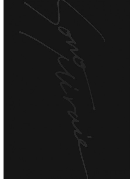 Sid - Sid 15Th Anniversary Grand Final At Yokohama Arena -Sono Mirai He- [Edizione: Giappone]