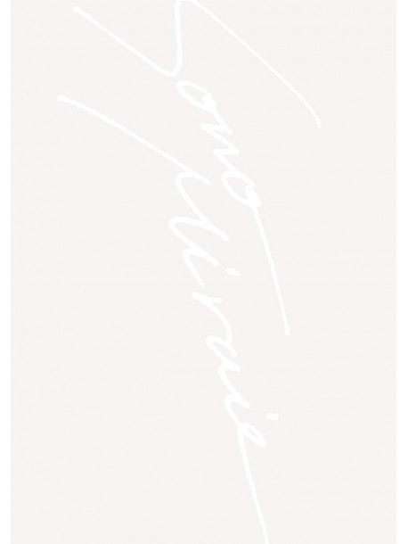 Sid - Sid 15Th Anniversary Grand Final At Yokohama Arena -Sono Mirai He-Limi (2 Dvd) [Edizione: Giappone]