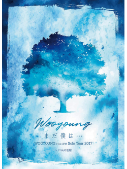 Wooyoung(From 2Pm) - Solo Tour 2017Mada Bokuha In (2 Dvd) [Edizione: Giappone]