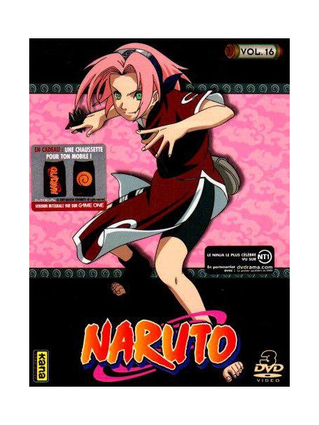 Naruto Vol16 Episodes 196 A 208 (3 Dvd) [Edizione: Francia]