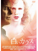 Nicole Kidman - The Humen Stain [Edizione: Giappone]