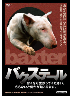 Lise Delamare - Baxter [Edizione: Giappone]