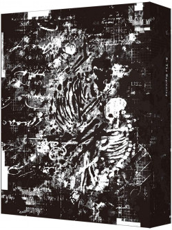 Nakazawa Kazuto - B: The Beginning Blu-Ray Box Standard Edition (3 Blu-Ray) [Edizione: Giappone]