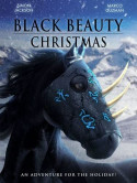 Black Beauty'S Christmas [Edizione: Stati Uniti]