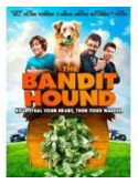 Bandit Hound [Edizione: Stati Uniti]