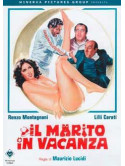Marito In Vacanza (Il)
