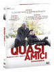 Quasi Amici