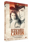 Reglements De Comptes A Black Horse Canyon (VOSTF) [Edizione: Francia]