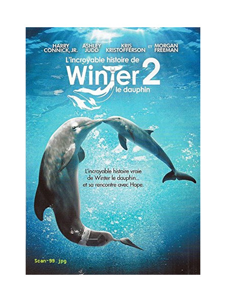 L Incroyable Histoire De Winter Le Dauphin 2 [Edizione: Francia]