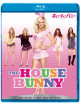 Anna Faris - The House Bunny [Edizione: Giappone]