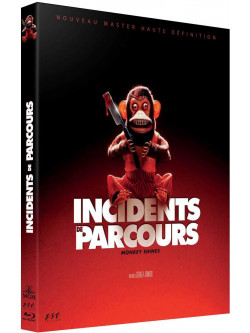 Incidents De Parcours [Edizione: Francia]