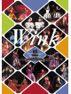 Wink - Wink Performance Memories -30Th Limited Edition- (2 Dvd) [Edizione: Giappone]