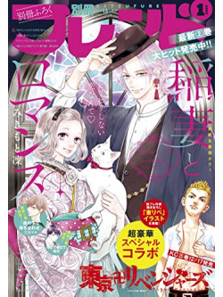 Begin - 21Seikisei Dosoukai Kinen Ayapani   Egin No Ayapani Ongaku Sai At Nippon (2 Dvd) [Edizione: Giappone]