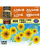 (Karaoke) - Chogensen Karaoke Circle W Best 4 [Edizione: Giappone]