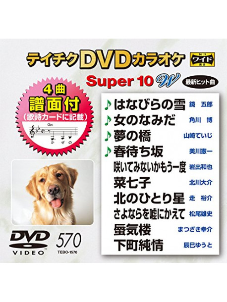 (Karaoke) - Teichiku Dvd Karaoke Super 10 W [Edizione: Giappone]