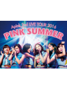 Apink - 2Nd Live Tour 2016 [Pink Summer] (2 Dvd) [Edizione: Giappone]