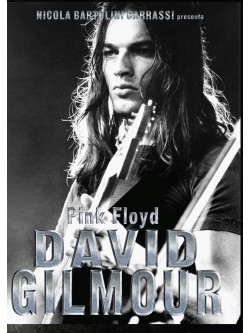 Pink Floyd - David Gilmour