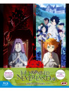 Promised Neverland (The) - Season 02 (Eps 01-11) (3 Blu-Ray) (Ltd Edition)