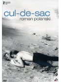 Cul De Sac